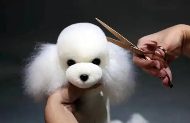 You should know 10 pet-dog-doggy-doggy-doggy-doggy-dips. The door