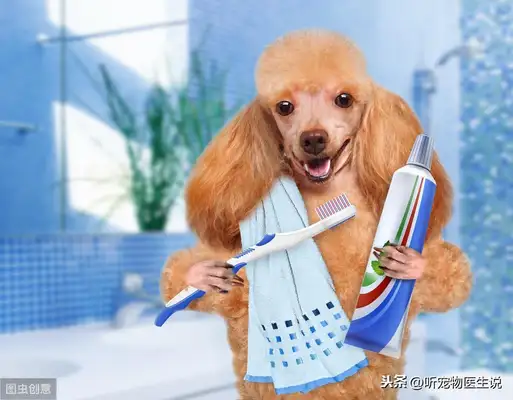 Is it necessary to brush the dog's teeth? Scientific Toothbrushing to prevent disease