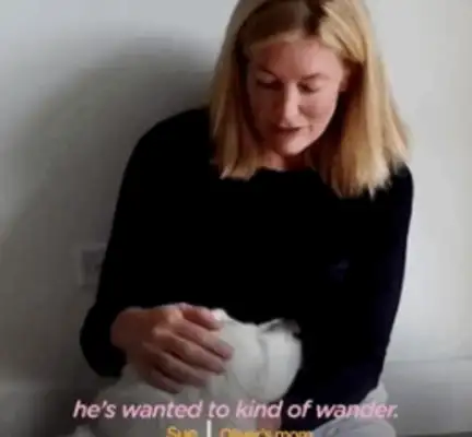 14-year-old dog running around. Neighbor: I don't have a dog, but I have a dog