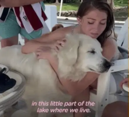 14-year-old dog running around. Neighbor: I don't have a dog, but I have a dog