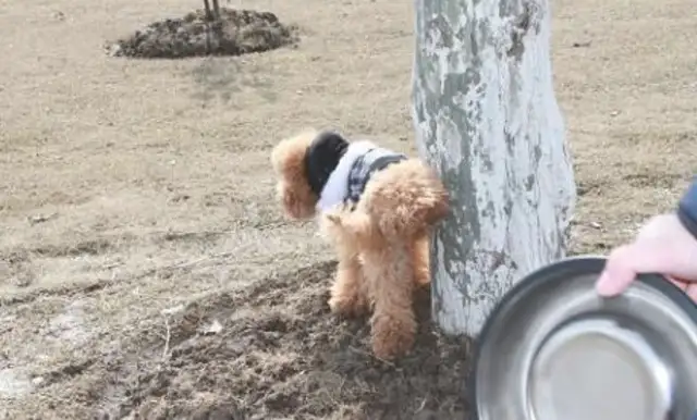 Teddy's five personal acts indicate he's going to fight you