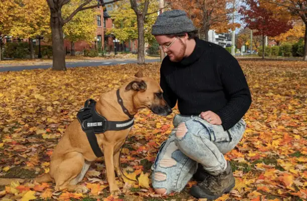 A dog was adopted, a mental patient who spent 10 years in therapy never stayed in a hospital..