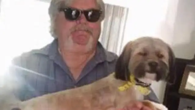 The master moved away and the dog cried outside the house for days
