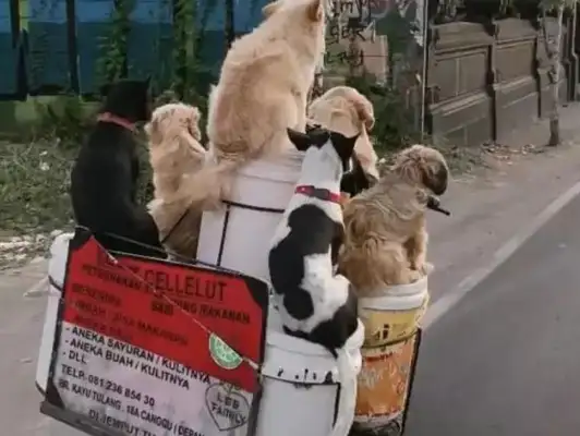 He's one of the most unforgettable sights on a motorcycle