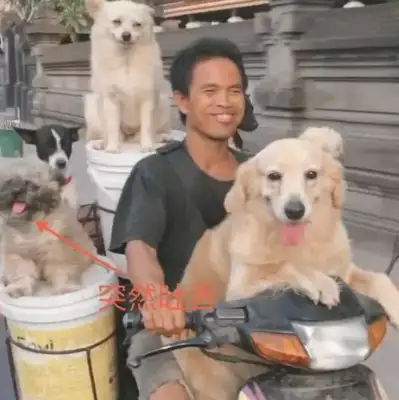 He's one of the most unforgettable sights on a motorcycle