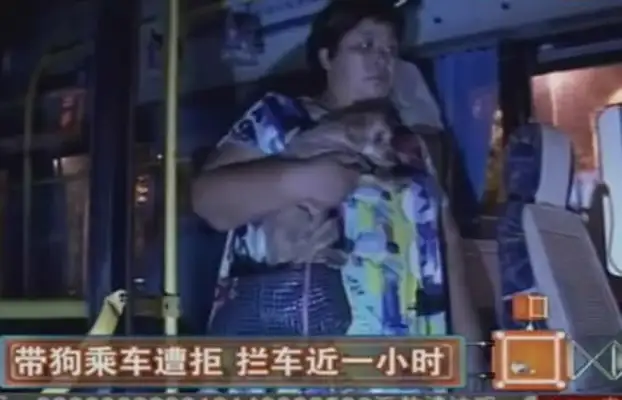 Old man, taking a pet in a car, running around with a pet dog