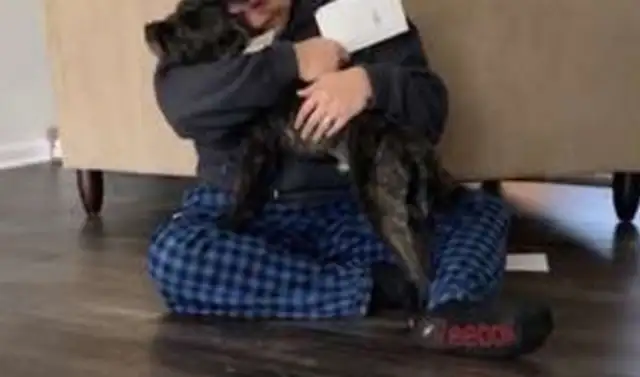 The temporary adoption dog is going to the new house, and the woman secretly made this decision to impress her husband