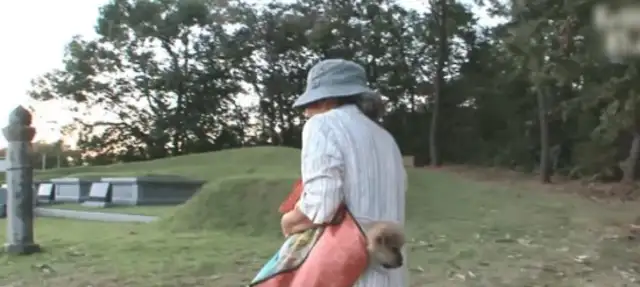 Every day, the old man was suspected of carrying a dog, and the netizens tracked down a touching scene..