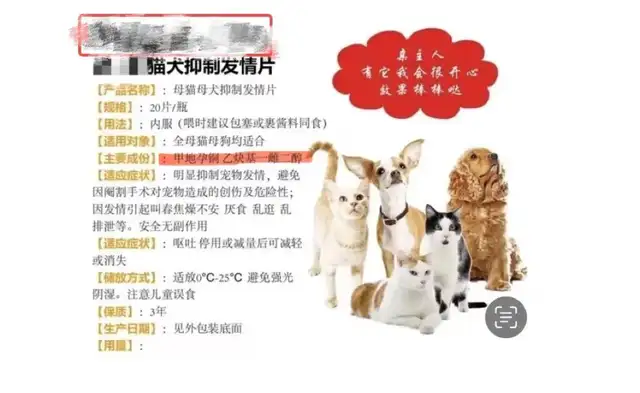 Is it okay for pets to give birth? These consequences need to be considered