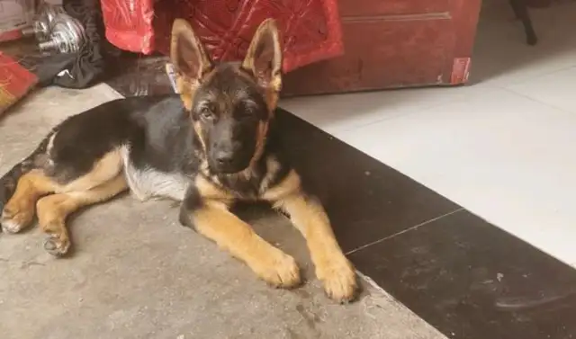 He knew the doorkeeper in three months, and ate, he was at the door