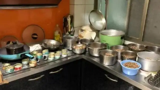 Making dinner is more tiring than eating together