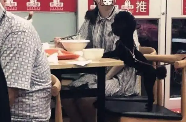 Women and dogs share a bowl and many customers are on fire