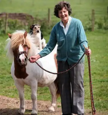 Dogs like to ride and attract a lot of people to their homes to watch