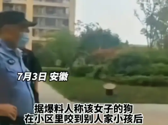 Anhui: A woman walks a dog and claims to be the hotel owner's wife: "The child is not worth my dog."