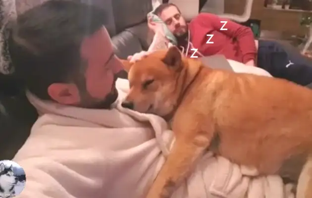 Since he was a kid, the dog sleeps in the master's hand