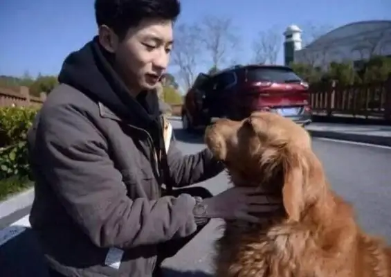 The young man saves the dog that will be slaughtered, and the dog who will save his life will never forget