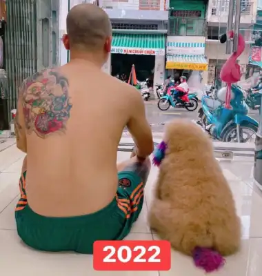 Squawk and the dog took a six-year photo; he's got a wide body