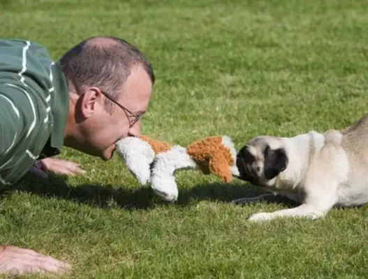 Colombian courts have ruled that pet dogs are “family members”