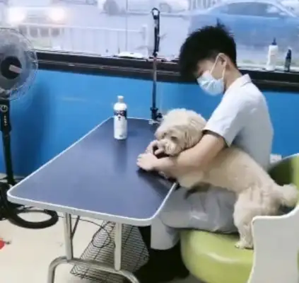 Dogs don't take baths, master takes the killer out, dog mind changes 180 degrees
