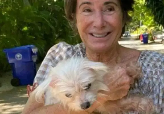 Dogs are lost, seven years of hardship, 1,200 km away from home, 14 years old, lucky to meet their master again