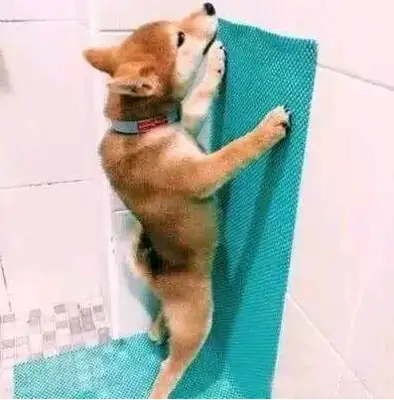 The man had a firewood dog and went home after work and saw the dog in the bathroom