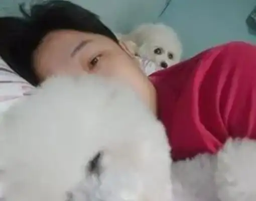 When a bear sees his master hugging another dog to sleep, the second he gets angry: You better not sleep too much