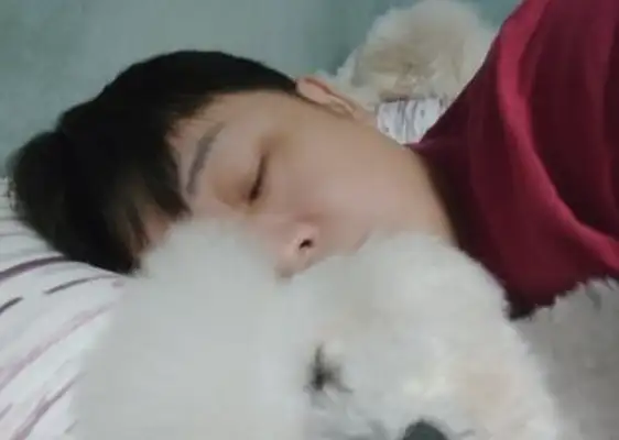 When a bear sees his master hugging another dog to sleep, the second he gets angry: You better not sleep too much