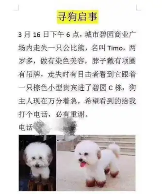 The woman found the dog and asked her for $4,500, and she was exposed, saying, "Wait for her body."