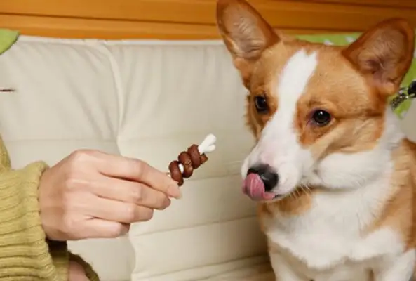 They're too greedy to eat. They're poor. Master: Are you having an appointment
