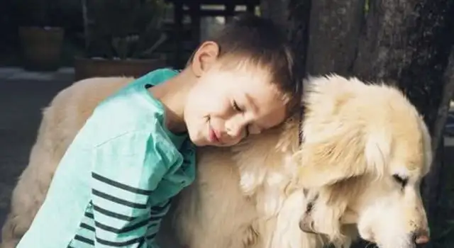 Pussy (dog) communicates in secret: learn these tricks, communicate without stress