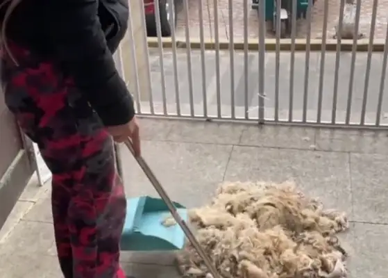 Not only did he ignore them, he sold Teddy to the doghouse