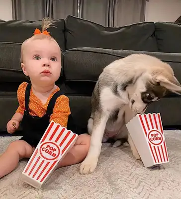 The little girl drilled the shield to save the dog, crying and asking the fireman: