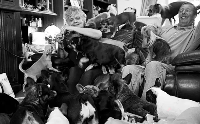 The English couple spend £30,000 a year raising 41 pet dogs