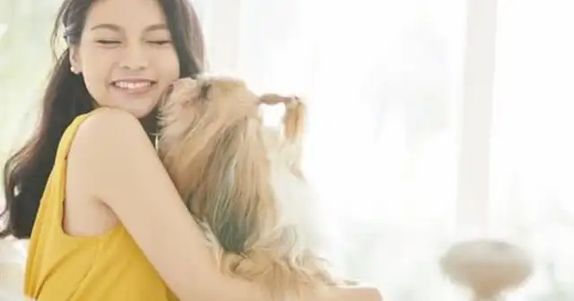 Pussy (dog) communicates in secret: learn these tricks, communicate without stress