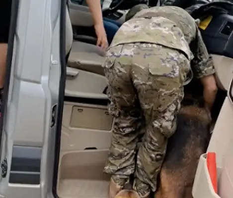 The breeder's getting out of service, the dog's running to the car and stopping the driver from driving