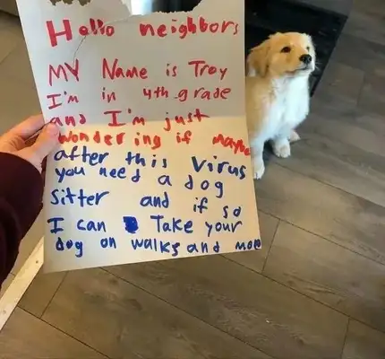 The little girl drilled the shield to save the dog, crying and asking the fireman: