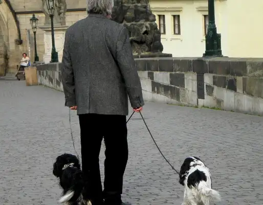 New rules for dogs, uncivilized and illegal