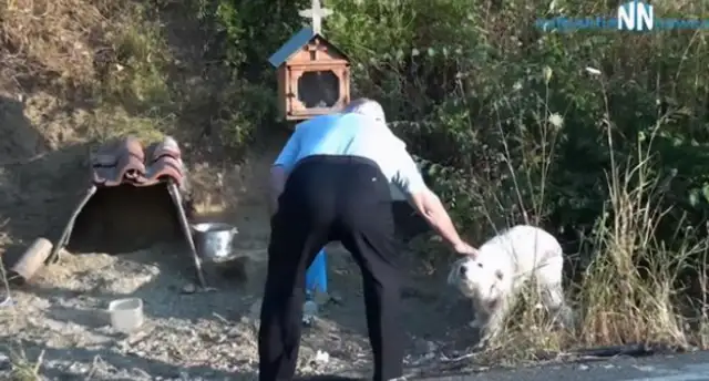 The master is dead, and the dog stays at the grave for three months! The dog's love for the master is so strong