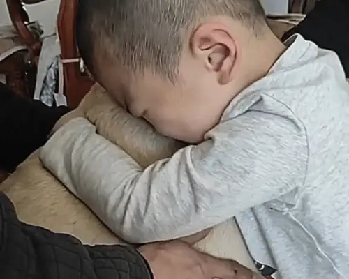 The dog ran away for 24 hours, and when he came back, the baby jumped up and made his parents cry