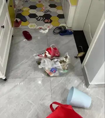 Parents are sealed, 13-year-olds live alone for 66 days and fatten up dogs and cats