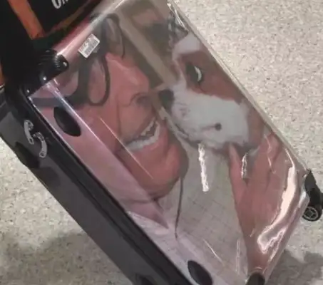 The dog sat in first class at the airport, and asked the passengers to hesitate