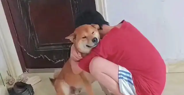 It's not the same day that you die. The homedogs and cats die together