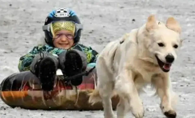 According to recent international studies, pet dogs may improve the social development of young children