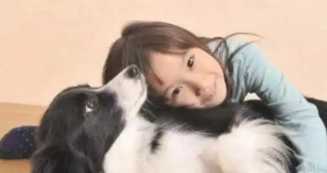 How does the master make the dogs trust