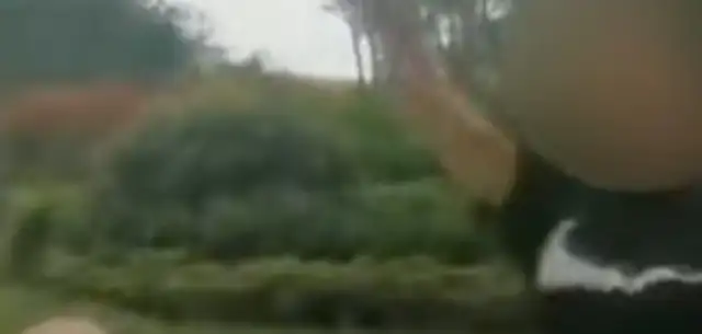 Anhui, a girl's pet dog, bit the kid and called himself "Tysy million." The police responded