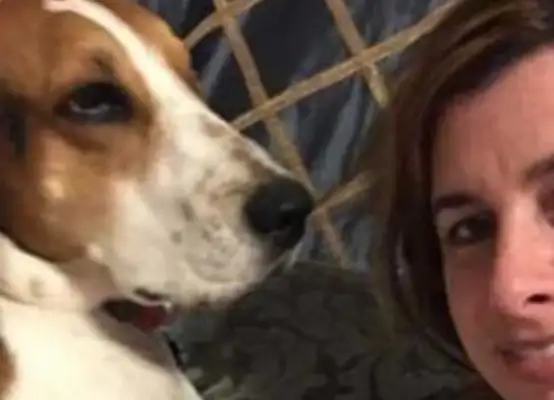 Dogs keep sniffing their noses on a woman, acting strangely to save her master's life