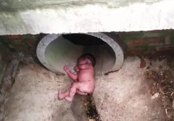 The pet dog saved the life of the newborn and then the miracles continued