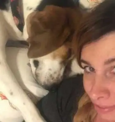 Dogs keep sniffing their noses on a woman, acting strangely to save her master's life