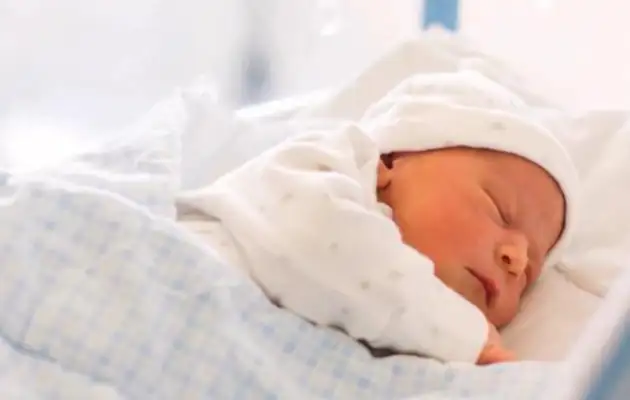 The pet dog saved the life of the newborn and then the miracles continued