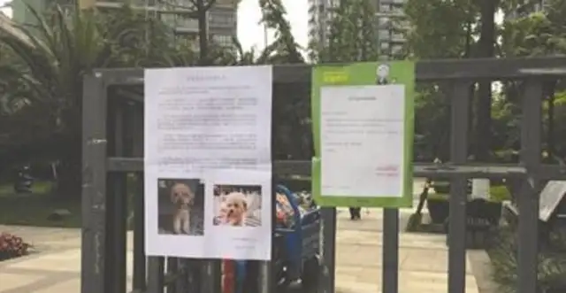 Five dogs were poisoned in four days. Life